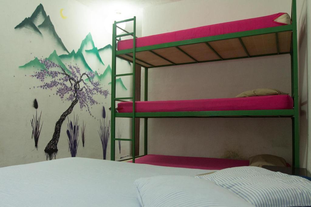 El Misti Hostel Ilha Grande Ilha Grande  외부 사진