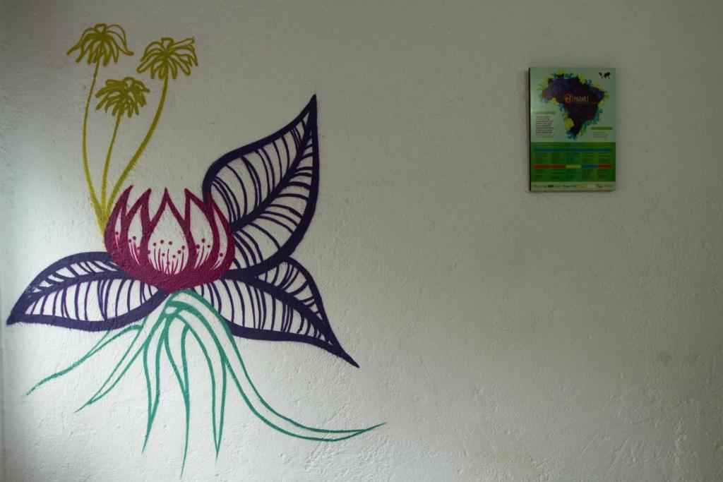 El Misti Hostel Ilha Grande Ilha Grande  외부 사진